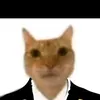 fabio_augusto9