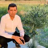 user6331137035297