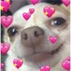 user_92939393939