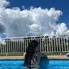 beatrixxvz