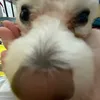 mewcuttiii522