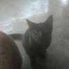 user1285080081590