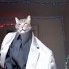 mr.tibbles.4.president