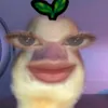 zxxiixix08