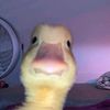 tayooo340_