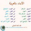 mareymoghraby