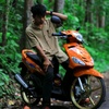 jimibintang11