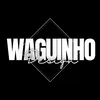 waguinhodesignpro