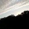 leni_01_02