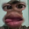 bus_khong_em