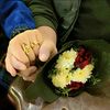 amalmoustafa601