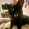 liceisnothere