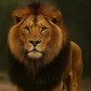 mr.bond_10