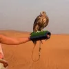 Rahif