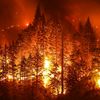 wildfire1127