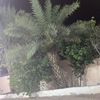 user1040414687318