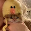 haaaaaaaaaaaasan