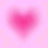 amn_sl98