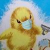 mr.ducking_sons