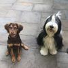 winston_and_leila