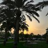 yousef_saif80