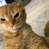 patrixx.c