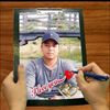 p..d.subba