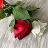 ayaansheraz6