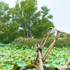 v.thng9922