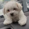 anafelicia74