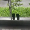 tk____777