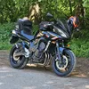 scorpon55