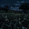 raigaming866