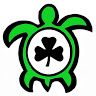 guidingturtle