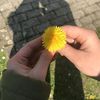 jhjhjhjh255