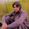 jahanzeb8044
