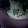 butterfly_hsb77