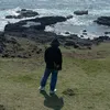 trachanhngonvaidai