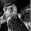 adeeb_119
