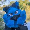 sebbi_bluecat