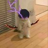 mry010_