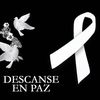 user8623481477101