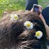 ngoloc_2601