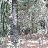 vareialuiz
