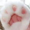 lostregatto72