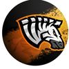 criticalzebra