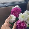 mf_550
