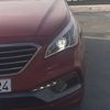 sonata99ky124