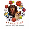 k9playtimenotts