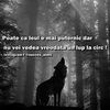 ziyech_adil